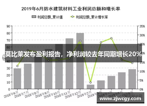 莫比莱发布盈利报告，净利润较去年同期增长20%